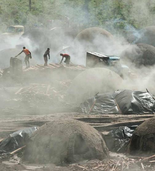 Charcoal making in Brazil (Half Orange kilns)