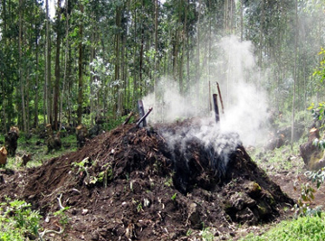 Charcoal making in Rwanda